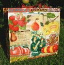 Fruit shopper